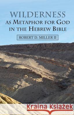 Wilderness as Metaphor for God in the Hebrew Bible Robert Miller 9781789761078