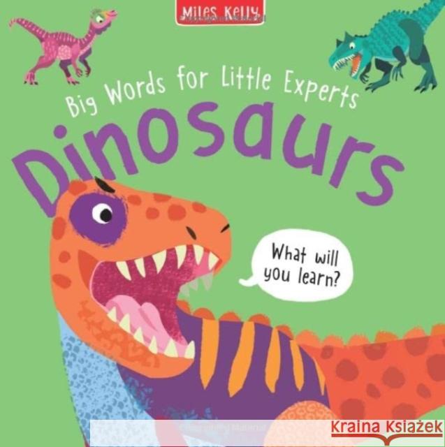 Big Words for Little Experts: Dinosaurs Fran Bromage 9781789894929 Miles Kelly Publishing Ltd