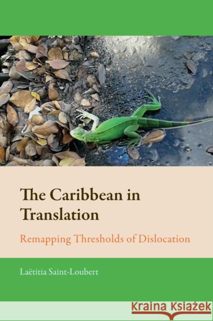 The Caribbean in Translation; Remapping Thresholds of Dislocation Mussgnug, Florian 9781789971989