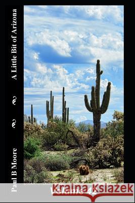 A Little Bit of Arizona: Volume 42 Paul B. Moore Paul Moore 9781790165155 Independently Published