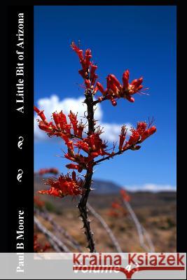 A Little Bit of Arizona: Volume 43 Paul B. Moore Paul Moore 9781790806621 Independently Published