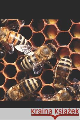 Ruffling the hornets nest Reawakening of a slumbering giant Kundai Edward Pfumayaramba 9781790958184 Independently Published