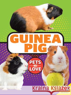 Guinea Pig Jill Foran Katie Gillespie 9781791119003 Av2