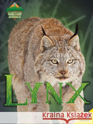 Lynx Blaine Wiseman 9781791120917 Av2