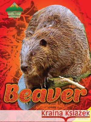 Beaver Blaine Wiseman 9781791120993 Av2