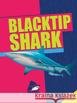Blacktip Shark Madeline Nixon 9781791121235 Av2