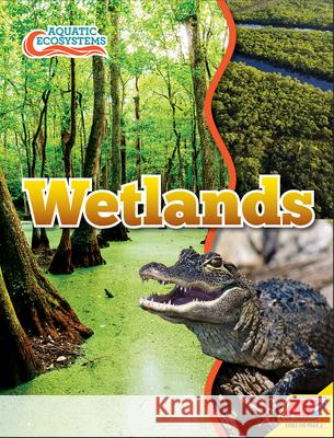 Wetlands John Willis 9781791128197 Av2