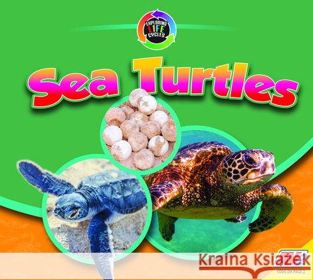 Sea Turtles Aaron Carr 9781791139247