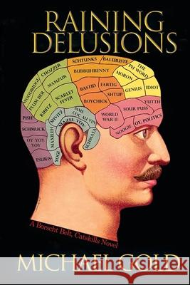 Raining Delusions: A Catskills Novel Michael Gold 9781791726317