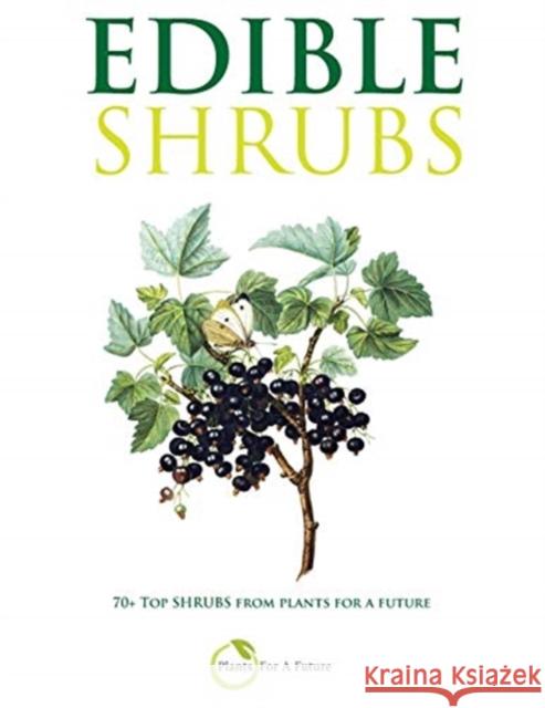 Edible Shrubs: 70+ Top Shrubs from Plants For A Future Plants for a Future 9781791954949 Independently Published