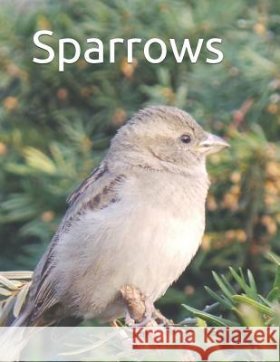 Sparrows: Senior reader study bible reading in extra-large print for memory care with colorful photos, reminiscence questions, a Ross, Celia 9781792158254