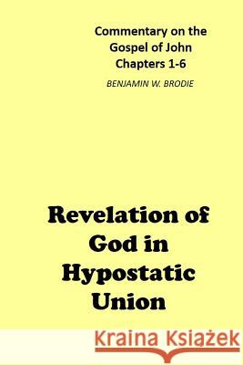 Revelation of God in Hypostatic Union: Commentary on the Gospel of John - Chapters 1-6 Benjamin W. Brodie 9781793117823