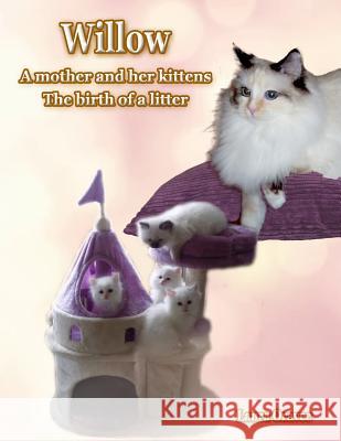 Willow: A Mother and Her Kittens: The Birth of a Litter Laura Oravec 9781793327833 Independently Published