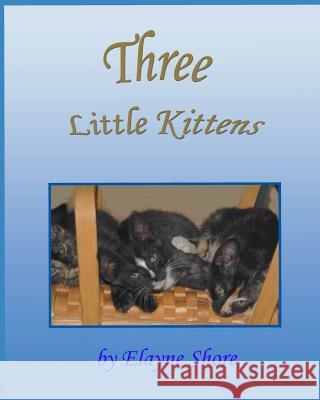 Three Little Kittens Elayne Shore 9781793884510