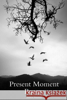 Present Moment Poetry Andrew Freeman 9781794893627 Lulu.com