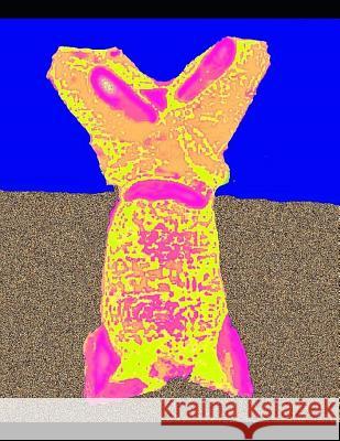 Heroes: Digital Image Processing Tom Zatar Kay 9781795802987 Independently Published