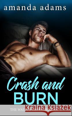 Crash and Burn Amanda Adams   9781795900997