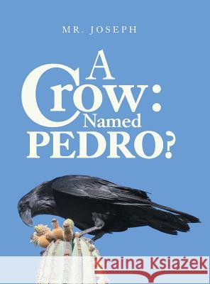 A Crow Named Pedro Mr Joseph 9781796026214