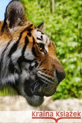 Hungry Tiger: The Tiger Is the Largest Cat Species, Most Recognizable for Its Pattern of Dark Vertical Stripes on Reddish-Orange Fur Planners and Journals 9781796389807 Independently Published