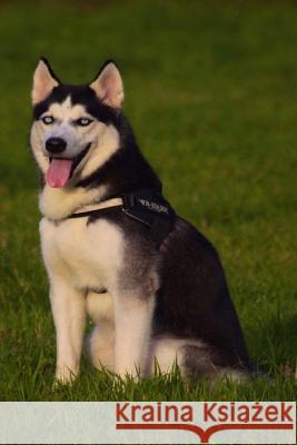 Husky: This Is a General Name for a Sled-Type of Dog Used in Northern Regions, Differentiated from Other Sled-Dog Types by Th Planners and Journals 9781796392869 Independently Published