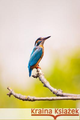 Kingfisher: The Family Contains 114 Species and Is Divided Into Three Subfamilies and 19 Genera. Often Seen as a Blue Flash While Planners and Journals 9781796394788 Independently Published