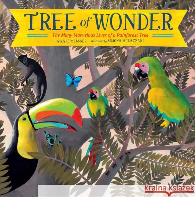 Tree of Wonder: The Many Marvelous Lives of a Rainforest Tree Kate Messner 9781797206837 Chronicle Books