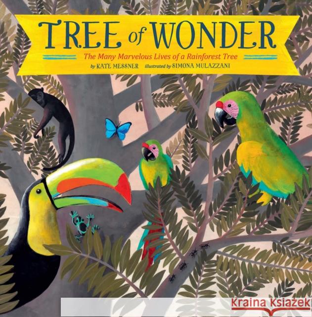 Tree of Wonder: The Many Marvelous Lives of a Rainforest Tree Kate Messner 9781797206837