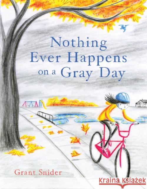 Nothing Ever Happens on a Gray Day Grant Snider 9781797210896