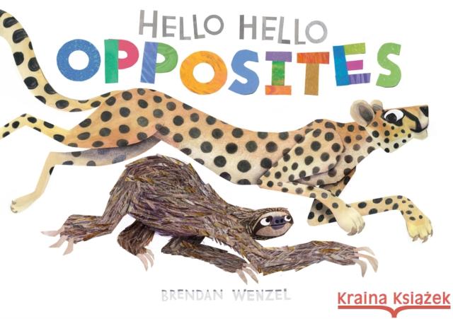 Hello Hello Opposites Brendan Wenzel 9781797219981