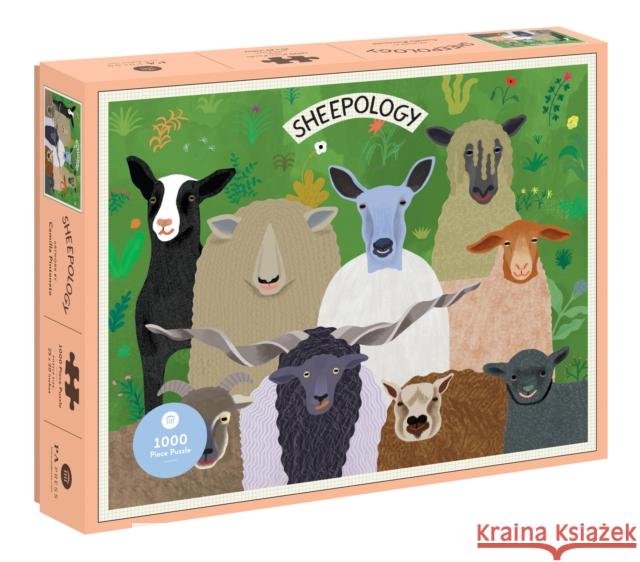 Sheepology 1000 Piece Puzzle Camilla Pintonato 9781797225609