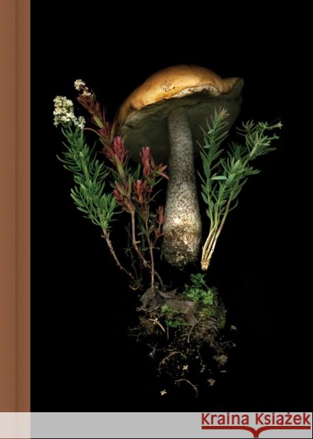 Deep Dark Forest Mushroom Journal Julya Hajnoczky 9781797227863 Chronicle Books