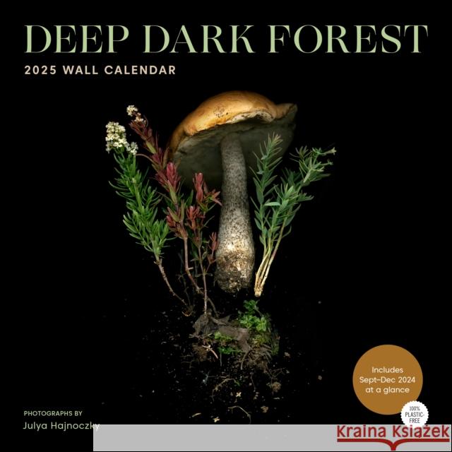 Deep Dark Forest 2025 Wall Calendar Julya Hajnoczky 9781797229607 Chronicle Books