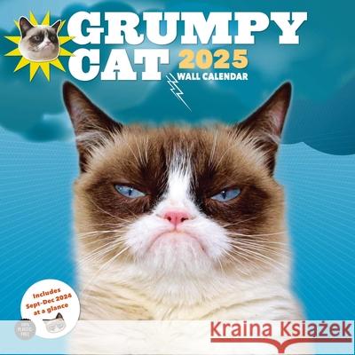 Grumpy Cat 2025 Wall Calendar Grumpy Cat 9781797229959