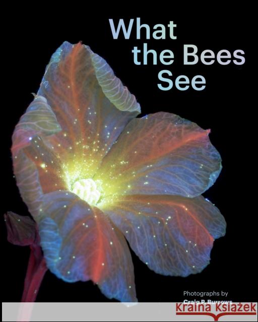 What the Bees See Craig P. Burrows 9781797230184 Chronicle Books