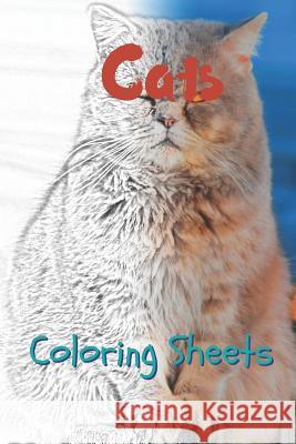 Cat Coloring Sheets: 30 Cat Drawings, Coloring Sheets Adults Relaxation, Coloring Book for Kids, for Girls, Volume 2 Julian Smith 9781797574394 Independently Published