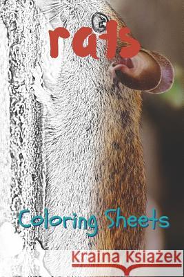 Rat Coloring Sheets: 30 Rat Drawings, Coloring Sheets Adults Relaxation, Coloring Book for Kids, for Girls, Volume 10 Julian Smith 9781797739397 Independently Published