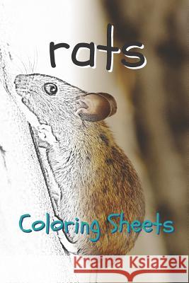 Rat Coloring Sheets: 30 Rat Drawings, Coloring Sheets Adults Relaxation, Coloring Book for Kids, for Girls, Volume 13 Julian Smith 9781797739458 Independently Published