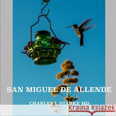 San Miguel de Allende Charles L. Stark 9781798578124 Independently Published