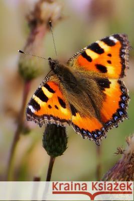 Painted Lady: There Are Over 20,000 Species of Butterflies in the World. Planners and Journals 9781799149484 Independently Published