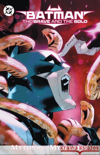 Batman: The Brave and the Bold: Myths and Mysteries Rob Levin 9781799506768
