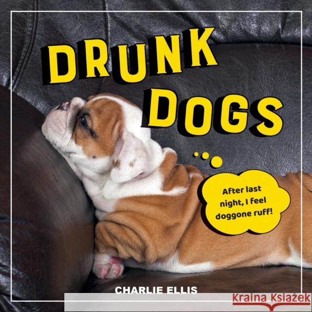 Drunk Dogs: Hilarious Pics of Plastered Pups Charlie Ellis 9781800070219 Summersdale