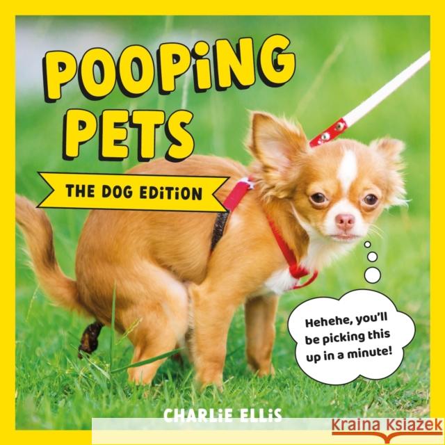 Pooping Pets: The Dog Edition: Hilarious Snaps of Doggos Taking a Dump Charlie Ellis 9781800076419 Octopus Publishing Group