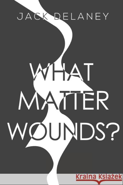What Matter Wounds? Jack Delaney 9781800162792 Pegasus Elliot Mackenzie Publishers