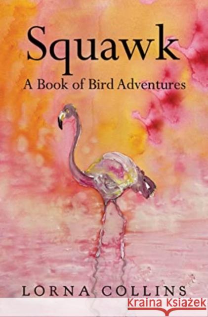 Squawk: A Book of Bird Adventures Lorna Collins 9781800164543