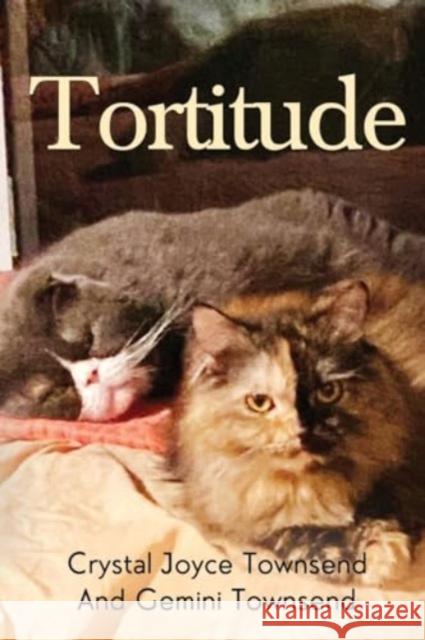 Tortitude Crystal Joyce Townsend 9781800168688