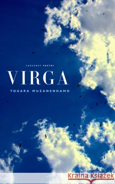 Virga Togara Muzanenhamo 9781800171435 Carcanet Press