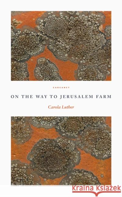 On the Way to Jerusalem Farm Carola Luther   9781800171633 Carcanet Press Ltd