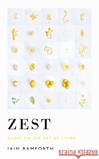 Zest: Essays on the Art of Living Iain Bamforth   9781800172050 Lives and Letters