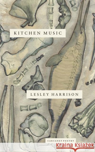 Kitchen Music Lesley Harrison 9781800173668