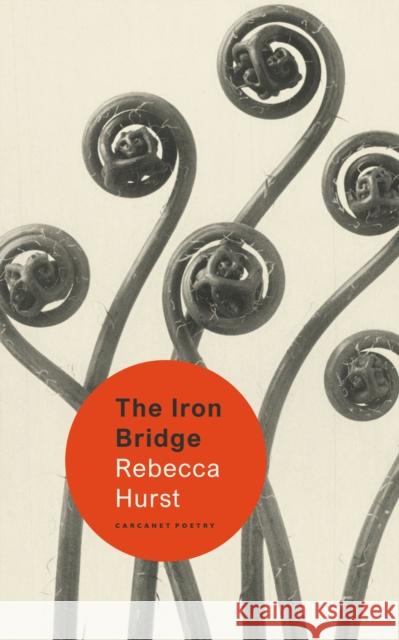 The Iron Bridge Rebecca Hurst 9781800173941 Carcanet Press Ltd